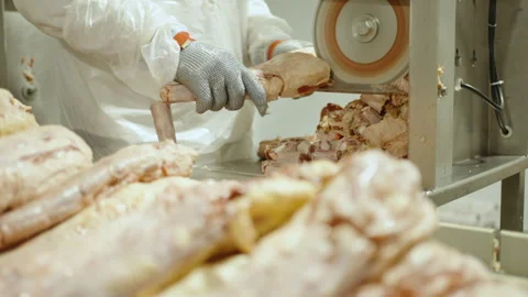 Factory Worker Sawing Large Animal Bones on Bandsaw Stock Footage 339066875