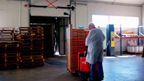 Factory worker transporting egg trays in poultry processing facility indoors Stock Footage 334338792