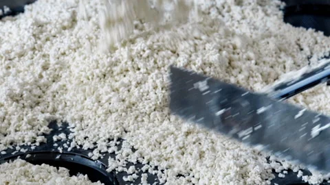 Factory worker uses stick to distribute cheese curds along holes for packaging Vídeo Stock 220887778