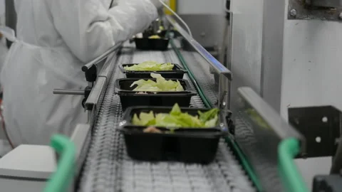 Factory worker works on conveyor packaging products. Food factory - conveyor Stock Footage 165282107