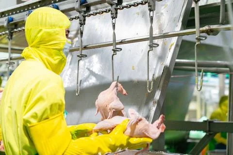 A factory worker in a yellow protective suit and thick rubber gloves hangs .. Stock Photos
