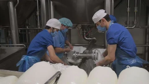 Factory workers pack the curd mass Stock Footage 161510405