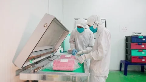 Factory workers pack tuna fish Stock Footage 266202015