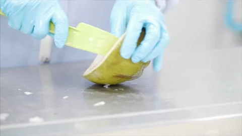 Factory workers process coconuts on production line. Stock Footage 159722651