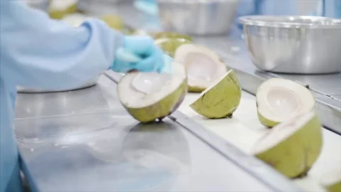 Factory workers process coconuts on production line. Stock Footage 159722661