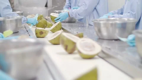 Factory workers process coconuts on production line. Stock Footage 159722705