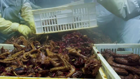 Factory workers processing cooked duck parts 스톡 동영상 333212044