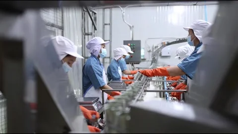 Factory workers production line packing fish in tin can process canned fish 動画素材 303712470