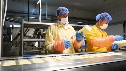 Factory workers in protective gear are seen processing cheese Stock Footage 325337399