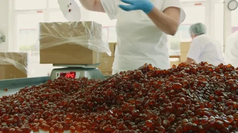 Factory workers scooping and weighing red candies in confectionery plant Stock Footage 340604444
