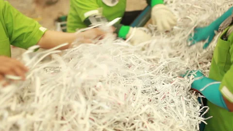 Factory Workers Sorting Shredded Paper in Recycling Plant Stock Footage 328814026