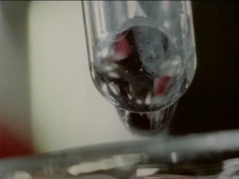 Facts about LSD and laboratory animals. Stock Footage 75314098