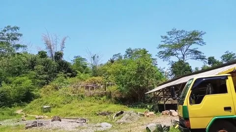 Facts of indonesia 動画素材 212212065
