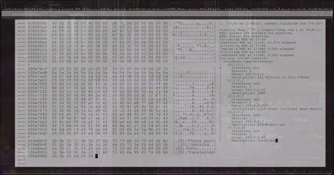 Fade-in terminal overlay scrolling hex dump and ASCII while showing nmap scan Stock Illustration