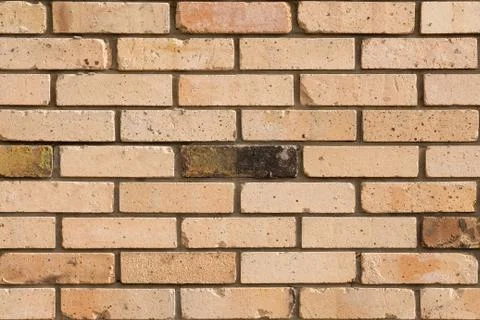 Faded brick wall background. Colored bricks facade. Stock Photos