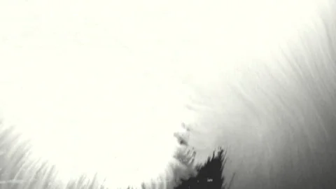 Faded elegance light white textured background Vidéo 270391278