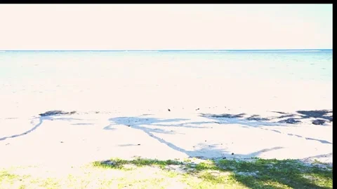 Faded film effect wind-blown tropical coconut palm frond shadows on beach i.. Stock Footage 249847221