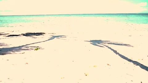 Faded film effect wind-blown tropical coconut palm shadows moving on beach Stock Footage 249860802