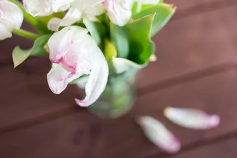 Faded flowers	 Stock Photos