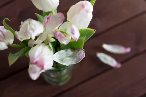 Faded flowers	 Stock Photos