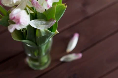 Faded flowers	 Stock Photos