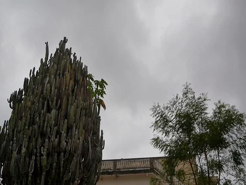 Faded prestige house Stock Footage 80608337