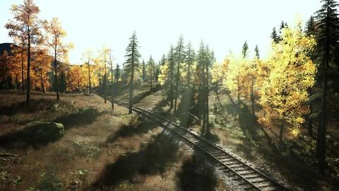 Faded train tracks snaking through a thicket of evergreens at sundown Stock Illustration