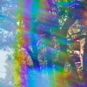 Faded trees abstract Stock Photos