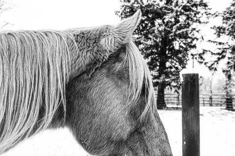 Faded Wind Stock Photos
