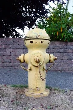 Faded yellow fire hydrant Foto stock