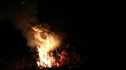 Fading fire of dry branches Vídeo Stock 41287739