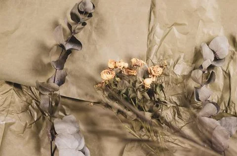 Fading flowers and eucalyptus branches. A bouquet of dying yellow roses again Stock Photos