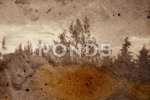 Fading forest Stock Photos