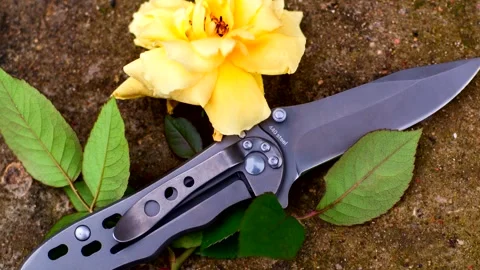 Fading rose on  background of a knife with a sharp edge. Stock Footage 333493418