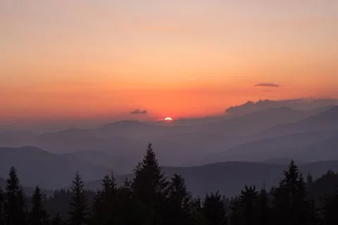 Fading sun hiding behind mountains, spruces silhouettes landscape photo Фото