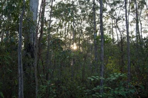 Fading Sun Stock Photos