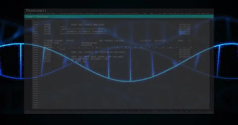 Fading in terminal window displaying COBOL SQL code scrolling and illustrating Stock Footage 310325363