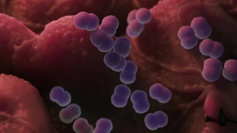 Faecal bacteria Stock Footage 305632400