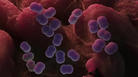 Faecal bacteria Stock Footage 305632401