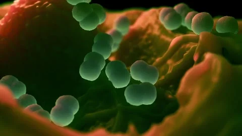Faecal bacteria Stock Footage 305632407