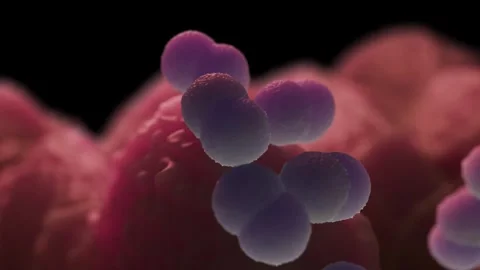 Faecal bacteria Stock Footage 305632411