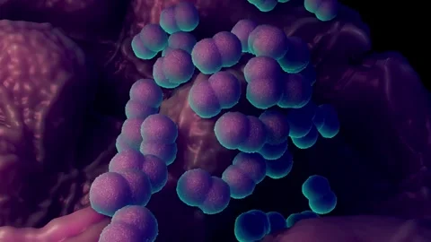 Faecal bacteria Stock Footage 305632413