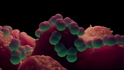 Faecal bacteria Stock Footage 305632414