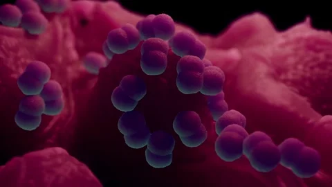 Faecal bacteria Stock Footage 305632415