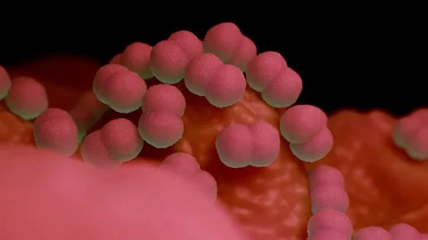 Faecal bacteria Stock Footage 305632425
