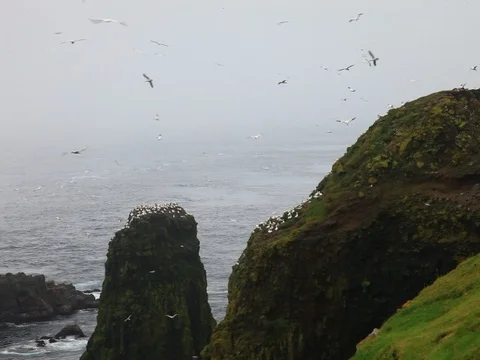 Faeroe Island, Denmark. Stock Footage 113298116