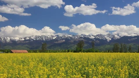 Fagaras Mountains Stock Footage 156502514