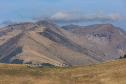 Fagaras Mountains, Romania Stock Photos