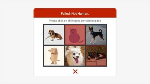 Failed on login page computer or human test using image recognition of animals Stock Footage 289005999
