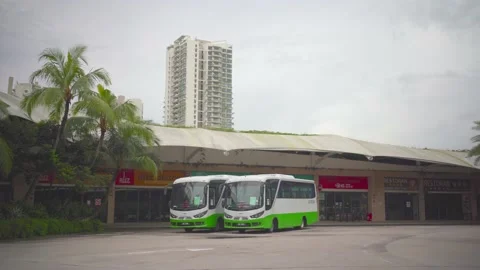 The Failed Project, Forest City in Iskandar Johor, Malaysia Stock Footage 225429466